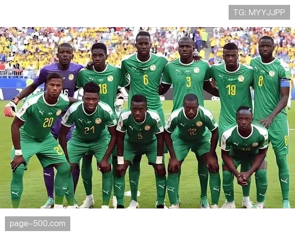 非洲杯赛事规模创新高 六座城市九球场承办破纪录